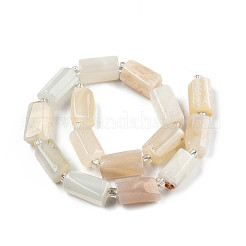 Natural White Moonstone Beads Strands&nbsp;X-G-N327-06C