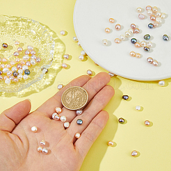 120Pcs 6 Colors Natural Cultured Freshwater Pearl Beads&nbsp;PEAR-HS0001-33