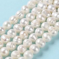 Natural Cultured Freshwater Pearl Beads Strands&nbsp;PEAR-E018-01