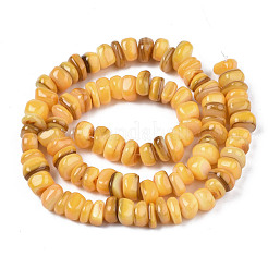 Natural Trochid Shell/Trochus Shell Beads Strands&nbsp;SHEL-S258-081-B11