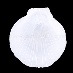 Shell Beads&nbsp;SSHEL-T005-07B