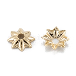 Multi-Petal Brass Bead Caps&nbsp;KK-D063-17G