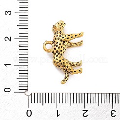 Tibetan Style Alloy Charms&nbsp;X-FIND-G077-02AG