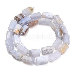 Natural Blue Lace Agate Beads Strands&nbsp;G-D109-A02