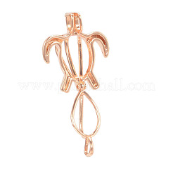 Hollow Brass Bead Cage Pendants&nbsp;X-KK-K124-09KCG-NR