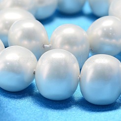 Oval Shell Pearl Bead Strands&nbsp;BSHE-L013-L-A013A