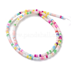 Handmade Lampwork Beads Strands&nbsp;LAMP-L078-008F