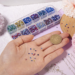 48G 12 Colors Glass Hotfix Rhinestone&nbsp;DIY-TA0004-53