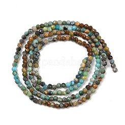 Natural Turquoise Beads Strands&nbsp;G-K366-B03-02
