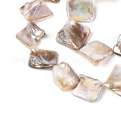 AB Color Natural Freshwater Shell Beads Strands&nbsp;BSHE-T014-38