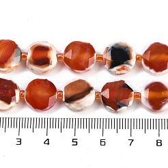 Natural Fire Crackle Agate Beads Strands&nbsp;G-NH0004-050