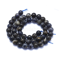 Natural Iolite Beads Strands&nbsp;G-E561-16-8mm