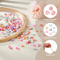 280Pcs 7 Colors Natural Freshwater Shell Beads&nbsp;SHEL-FW0001-02