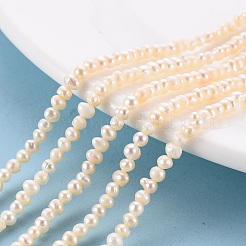 Natural Cultured Freshwater Pearl Beads Strands&nbsp;PEAR-R065-26