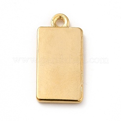 Ion Plating(IP) 304 Stainless Steel Pendants&nbsp;STAS-H172-10G