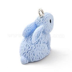 Opaque Resin Pendants&nbsp;RESI-H143-01A