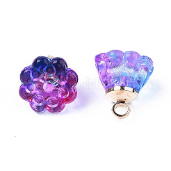 Transparent Spray Painted Glass Charms&nbsp;LS-GLAA-S054-27A