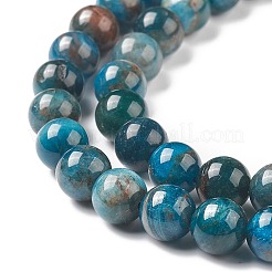 Natural Apatite Beads&nbsp;LS-G-E481-05-8mm-01