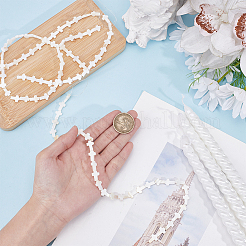 3 Strands Natural Sea Shell Beads Strands&nbsp;SSHEL-ME0001-08