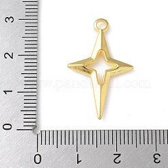 304 Stainless Steel Pendants&nbsp;LS-STAS-I330-013G