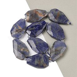 Natural Sodalite Beads Strands&nbsp;G-P548-B24-01