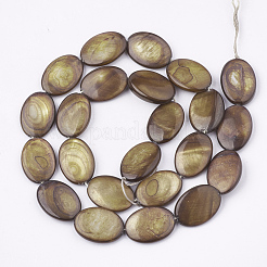 Freshwater Shell Beads Strands&nbsp;SHEL-S274-37B