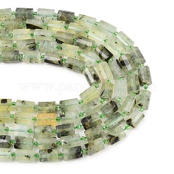 Natural Prehnite Beads Strands&nbsp;G-G453-E03-10x14mm