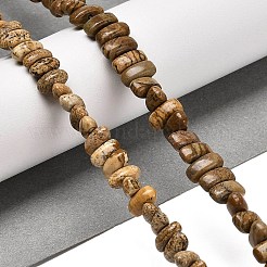 Natural Picture Jasper Beads Strands&nbsp;G-Q167-B14-01
