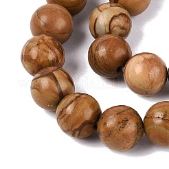 Natural Wooden Jasper/Wood Lace Stone Beads Strands&nbsp;G-Q601-13A-04