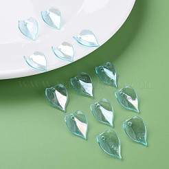 Transparent Acrylic Beads&nbsp;MACR-S373-103-C03