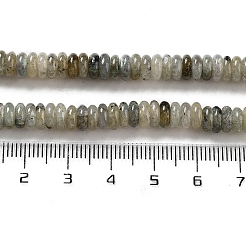 Natural Labradorite Beads Strands&nbsp;G-G084-A03-01