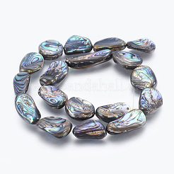 Natural Abalone Shell/Paua Shell Beads Strands&nbsp;SSHEL-P014-02