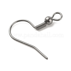 316 Stainless Steel Earring Hooks&nbsp;STAS-G257-01B