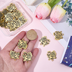 30Pcs Tibetan Style Alloy Pendants&nbsp;FIND-SC0022-44