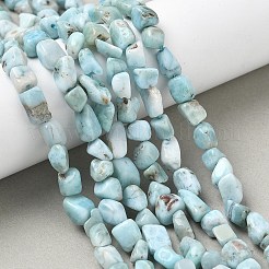 Natural Larimar Beads Strands&nbsp;G-K203-48