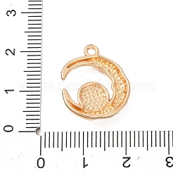 Alloy & Resin & Rhinestone Pendants&nbsp;RE-CBA6A90-05G