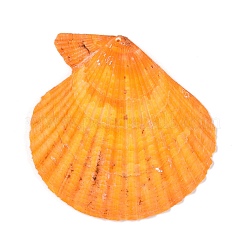 Undyed Natural Scallop Shell Big Pendants&nbsp;SHEL-T020-01
