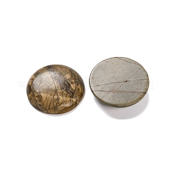 Natural Picasso Jasper Cabochons&nbsp;G-B085-02A-09