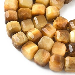 Natural Gold Tiger Eye Beads Strands&nbsp;G-C267-A11