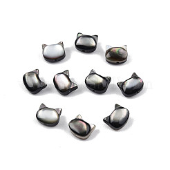 Natural Black Lip Shell Beads&nbsp;SSHEL-N003-147A