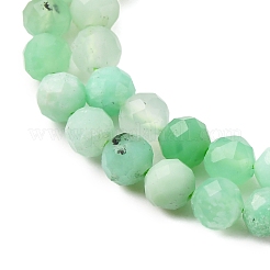 Natural Chrysoprase Beads Strands&nbsp;G-C196-A02-3mm