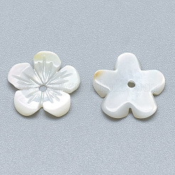 Natural White Shell Beads&nbsp;SSHEL-S260-059B