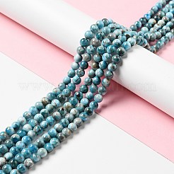 Natural Apatite Beads Strands&nbsp;G-G858-01A