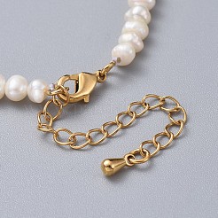 Natural Freshwater Pearl Beads Bracelets&nbsp;BJEW-JB04619