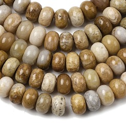 Natural Fossil Coral Beads Strands&nbsp;G-A280-A08-01