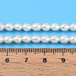 Natural Cultured Freshwater Pearl Beads Strands&nbsp;PEAR-N012-04Y