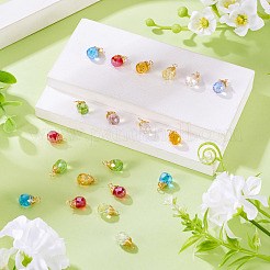 20Pcs Glass Pendants&nbsp;PALLOY-TA00240