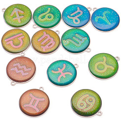 12Pcs 12 Constellations Epoxy Resin Pendants&nbsp;FIND-TAC0027-38
