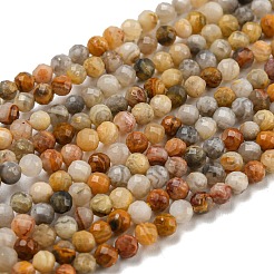 Natural Crazy Lace Agate Beads Strands&nbsp;G-K020-3mm-29