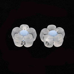 Transparent Acrylic Beads&nbsp;TACR-S152-06C